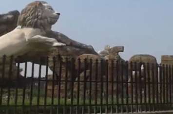 Tiger dies in Etawah Safari Park इटावा सफारी पार्क में तौकीर नामक शेर की मौत से मचा हड़कंप