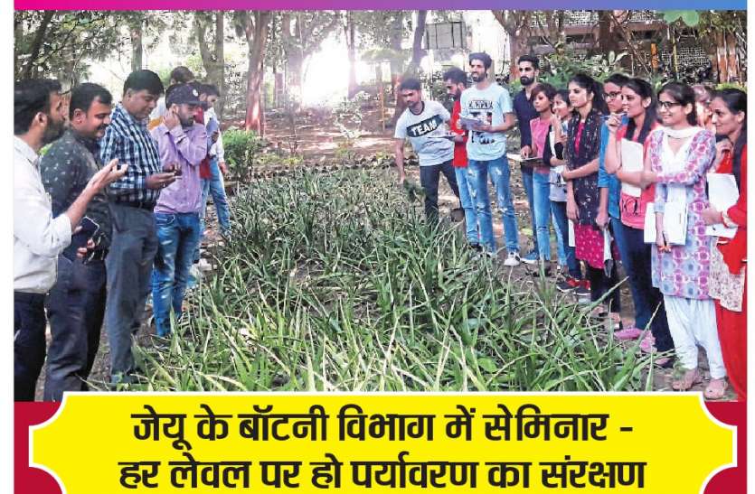 लांग रूट वाले पौधे लगाएं लांग रूट वाले पौधे लगाएं