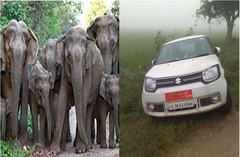 elephant_attac11__1.jpg जंगली हाथियों को सामने देख सरपट भागे नेता जी, डेढ़ घंटे तक झाड़ियों में छिपकर बचाई जान