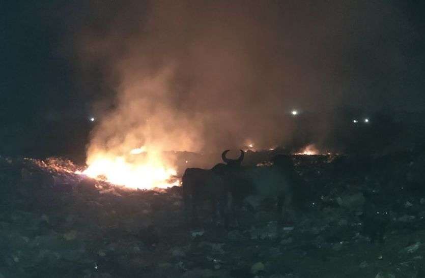 हनुमान नगर कॉलोनी में एक बार फिर कचरे में शनिवार देर शाम किसी ने आग लगा दी आग बुझाने गई दमकल 100 मीटर पहले ही हुई पंक्चर, खड़े-खड़े देखते रहे कार्मिक