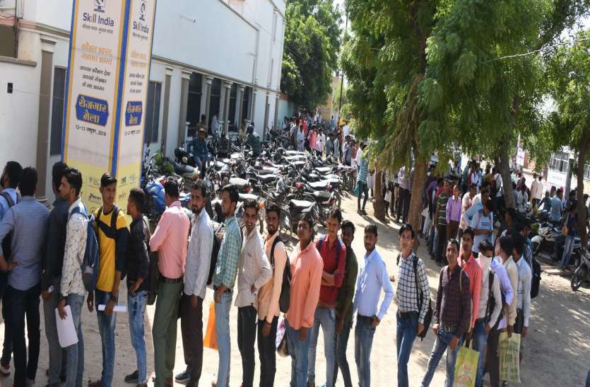 bikaner news : Unemployed gathered for job बीकानेर : नौकरी की उम्मीद में आए हजारों युवा