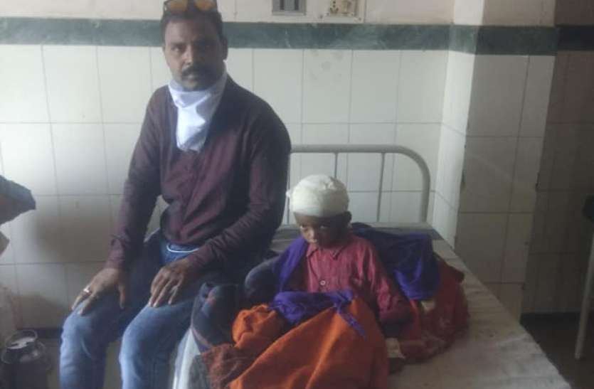 घाव का समय पर नहीं हुआ उपचार 4 वर्षीय निहाल की हालत गंभीर घाव का समय पर नहीं हुआ उपचार 4 वर्षीय निहाल की हालत गंभीर