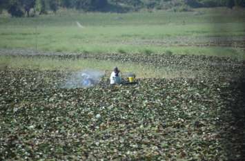 Pollution Reservoir in Mukandra Hills Tiger Reserve Park मुकंदरा हिल्स टाईगर रिजर्व पार्क में प्रदूषित होता जलाशय