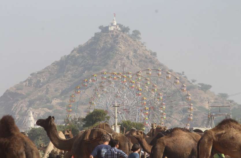 Pushkar fair 2019 : रेतीले धोरों पर बढऩे लगी रौनक Pushkar fair 2019 : रेतीले धोरों पर बढऩे लगी रौनक