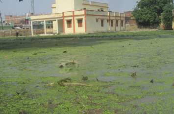 Sewer, water, diet, complex, bhind news, bhind news in hindi, bhind n डाइट परिसर में भर रहा सीवर का पानी