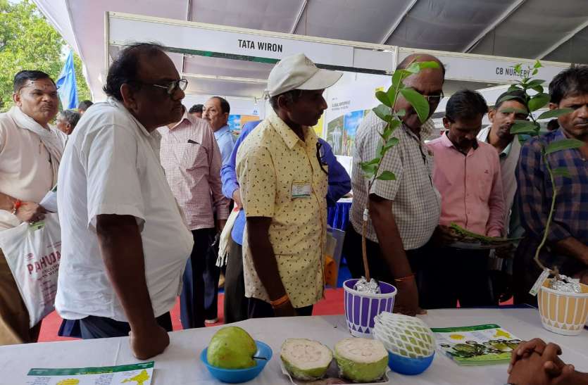 World's largest guava came to the farmers fair किसान मेले में आया विश्व का सबसे बड़ा अमरुद