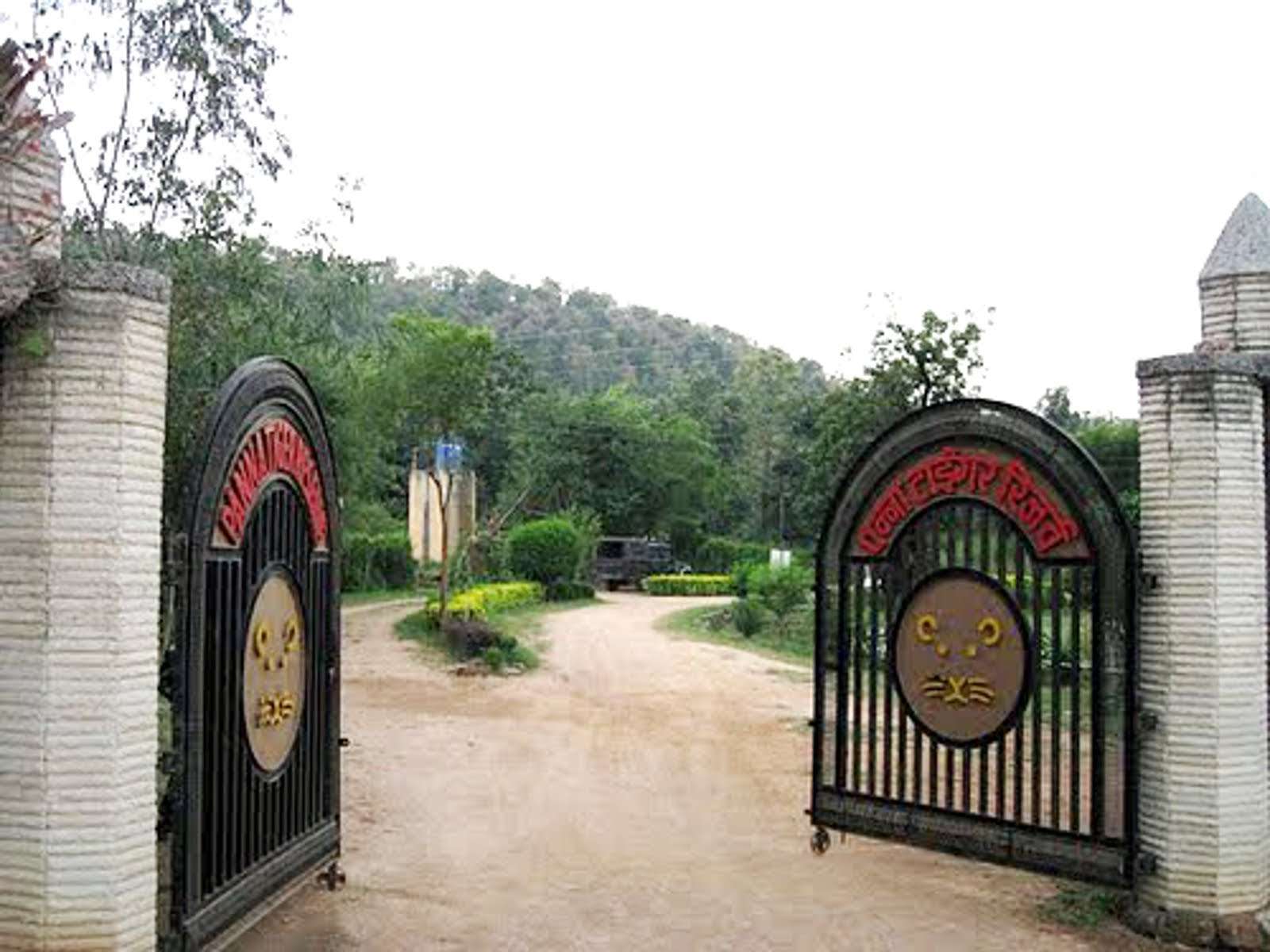 पन्ना नेशनल पार्क panna madhya pradesh