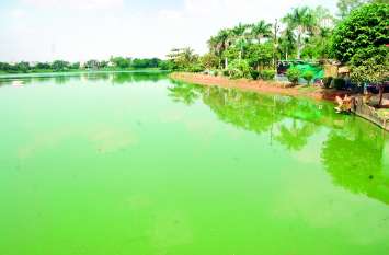 Good News: Big water level in Vidisha district, for the first time in जिले के तीन ब्लॉक में जलस्तर सवा मीटर तक, 15 साल में ऐसा पहली बार