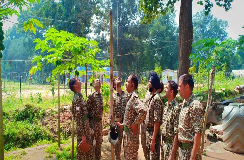 करवाचौथ : पत्नी आवाज सुनकर व्रत तोड़ सके इसलिए पेड़ों पर मोबाइल लटकाकर रख रहे जवान