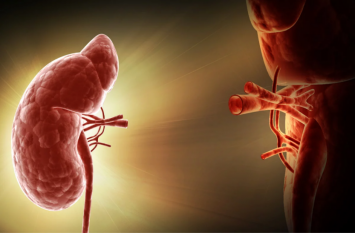 treatment of kidney transplant ट्रांसप्लांट से आसन हो गया किडनी का इलाज, जानें इसके बारे में