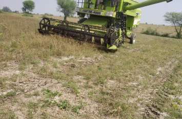 It is difficult to extract the cost of yield due to crop failure फसलें बर्बाद होने के कारण उपज की लागत तक निकालना हुआ मुश्किल