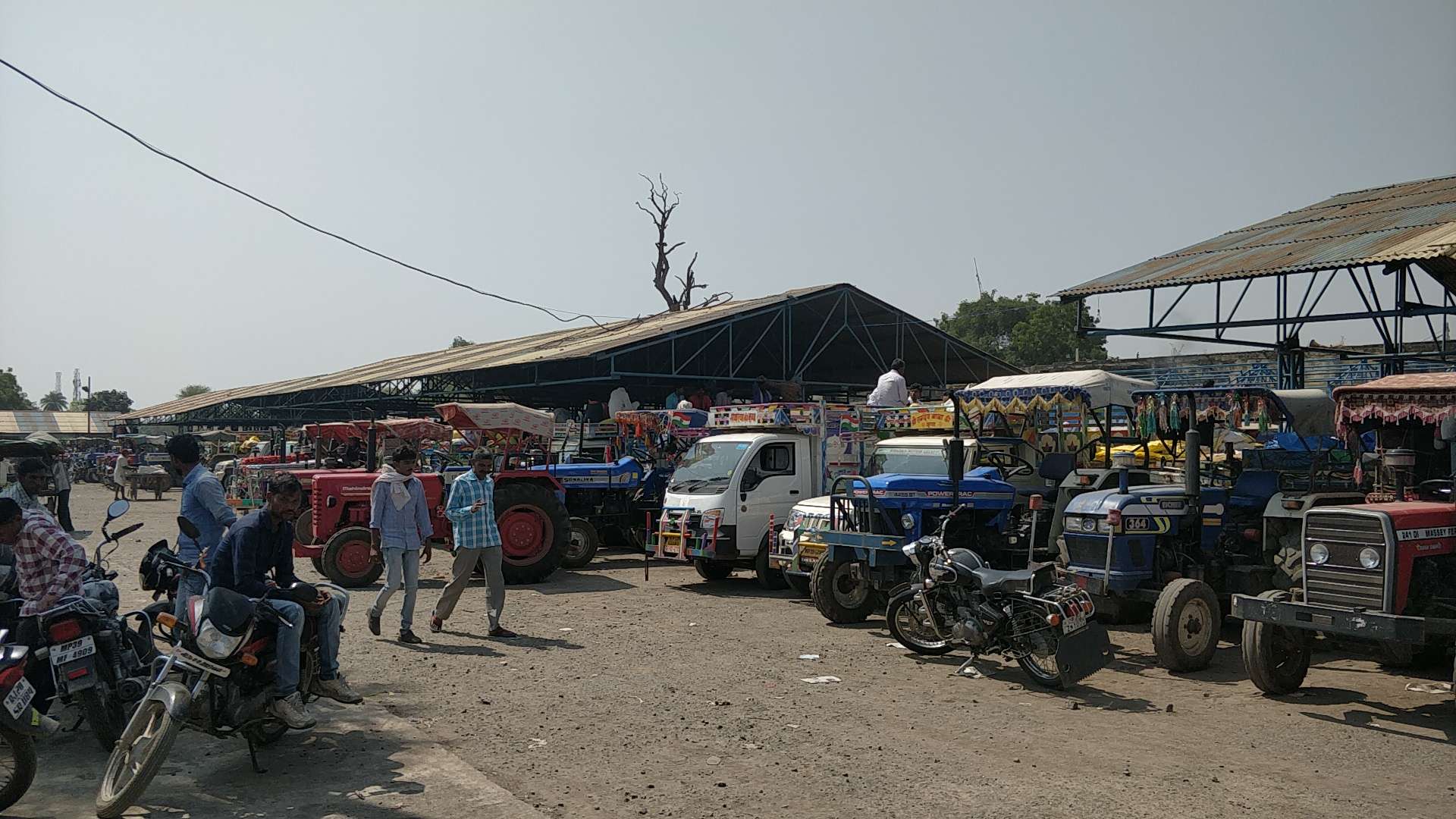 मंडी में 20 हजार क्वींटल की आवक, भीड़ ऐसी की देर रात तक नीलामी के बावजूद बच गए किसान
