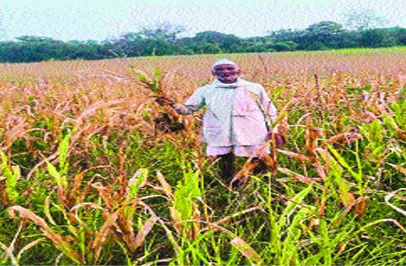 खेती के प्रति रुझान कम हो रहा खेती के प्रति रुझान कम हो रहा