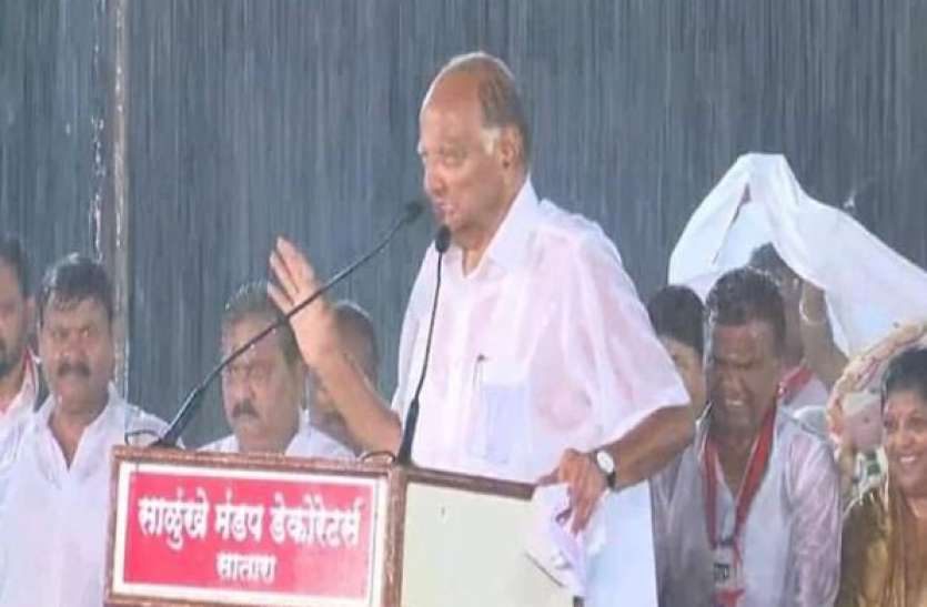08.jpg शरद पवार का चुनावी स्टंट, भारी बारिश में भीगते हुए जनता से मांगे वोट