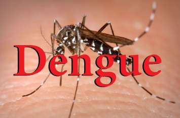 Dengue uncontrollable, death continues बेकाबू हुआ डेंगू, मौतों का सिलसिला जारी