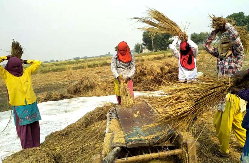 labor women उपचुनावः इन मेहनतकश महिलाओं तक नहीं पहुंचा कोई प्रत्याशी, वीडियो में देखिए कैसी-कैसी बातें बता रहीं