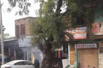 A fire broke out in the trees along the road ... सड़क किनारे पेड़ में आग से मचा हड़कंप...