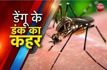 Two dengue patients are undergoing treatment in Jaipur SMS हमीरपुर में डेंगू के दो रोगी मिले, इलाज के लिए जयपुर एसएमएस में कराया भर्ती