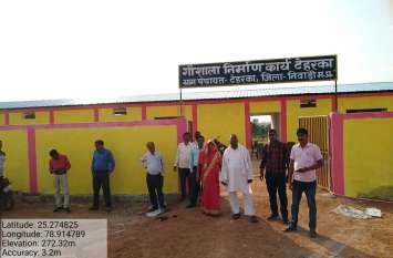 Cow shed प्रदेश में सबसे पहले बन कर तैयार हुई टेहरका की गोशाला