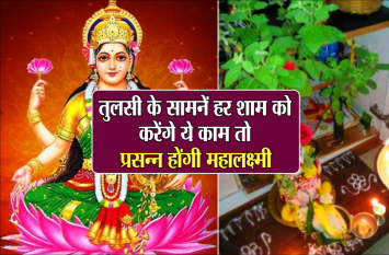 Tulsi Vastu Tips: Always place tulsi plant in this direction vastu इस दिशा में रखें तुलसी का पौधा, हर शाम जरुर करें ये काम, प्रसन्न होंगी महालक्ष्मी