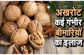 Health tips, benefits of walnuts Health tips : अखरोट खाने से होगा इन गंभीर बीमारियों का इलाज