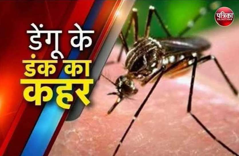 Dengue and scrub typhus कोटा में कहर बरपा रहा डेंगू, 450 से ज्यादा लोग पॉजीटिव, स्क्रब टायफस भी लगा चुका शतक