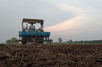 Due to good rains in the district, area under wheat increased, gram d जिले में बारिश अच्छी होने से गेहूं का रकबा बढ़ा, चने का हुआ कम
