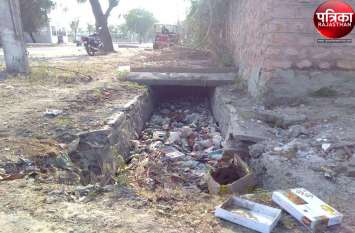 Problems in wards 25 and 26 of Pali city यहां हैं हरे-भरे उद्यान और चौड़ी सडक़ें, फिर भी सफाई बदहाल, क्या कहते हैं लोग, जानिए पूरी खबर...