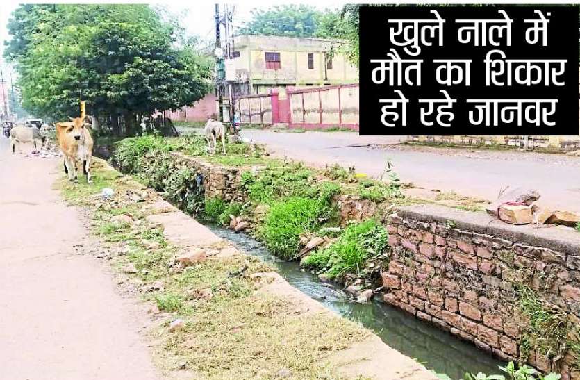 लापरवाही नहीं होने दे रही नाले का निर्माण लापरवाही ही बाधा बनी नाला निर्माण में