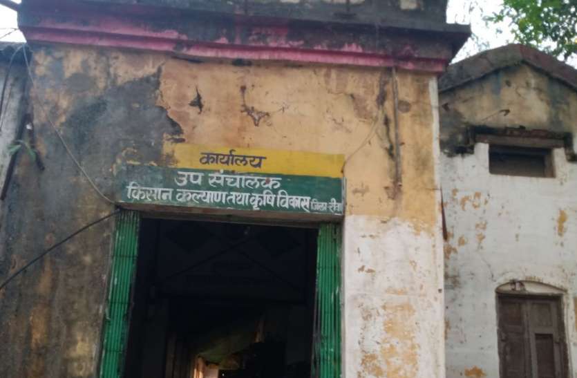 Now agriculture department will provide seeds in double lock through committees अब डबल लॉक में कृषि विभाग समितियों के माध्यम से उपलब्ध कराएगा बीज