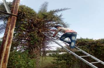 Poor transformer removed, deployed line man दीपावली पर जगमगाता रहे शहर, विद्युत कम्पनी ने की तैयारी