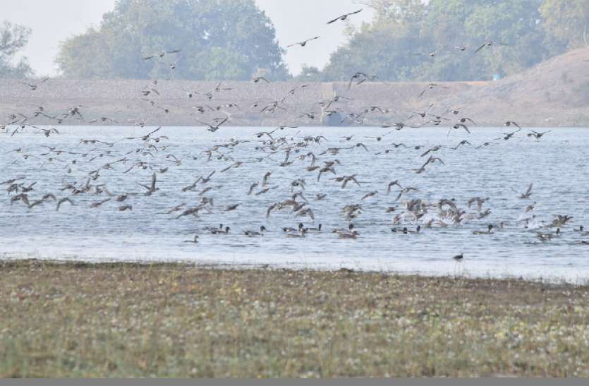 Jabalpur Beautiful example- मुझें यूं ही नहीं कहते संस्कारधानी, यहां है नर्मदा का अमृत जैसा पानी