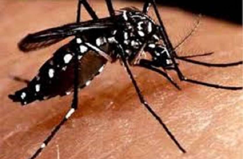 रिसड़ा में डेंगू से युवक की मौत, बवाल रिसड़ा में डेंगू से युवक की मौत, बवाल