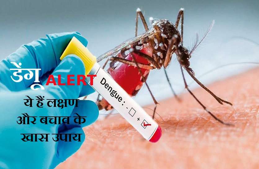 how to prevent dengue MP Alert: मौसम में बदलाव के बीच डेंगू की दस्तक, जानिये लक्षण से लेकर बचाव तक
