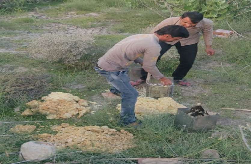 seized fake mawa in napasar bikaner स्वास्थ्य विभाग की कार्रवाई- फैक्ट्री में मिला 140 किलो बदबूदार मावा