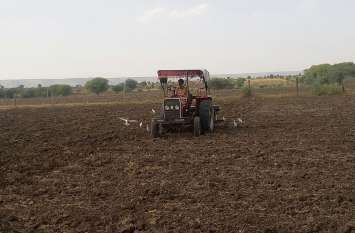 This crop of financially broken food provider will end the crisis आर्थिक रूप से टूट चुके अन्नदाता का यह फसल करेगी संकट दूर