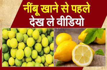 Health tips, Lemon, juice Benefits Health tips : नींबू निचोड़ने से पहले जरूर पढ़ लें खबर, हैरान कर डालेंगी ये बातें