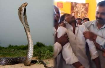 Snake court: know about the truth of Nag court in sehore यहां लगी नागों की अदालत, नाग आकर बताते हैं डसने के कारण और पूर्व जन्म की कहानी