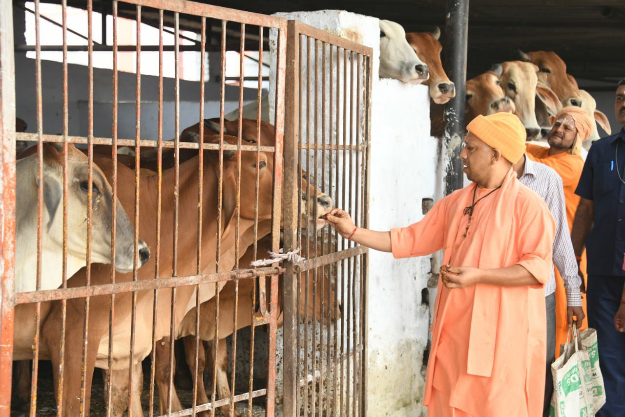 CM Yogi with Cow in Cow Safari in UP
