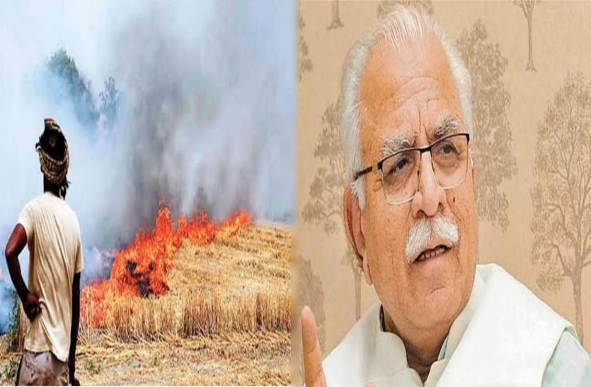 पराली नहीं जलाने वाले किसानों को मिलेगी सब्सिडी, नई हरियाणा सरकार का पहला फैसला पराली नहीं जलाने वाले किसानों को मिलेगी सब्सिडी, नई हरियाणा सरकार का पहला फैसला