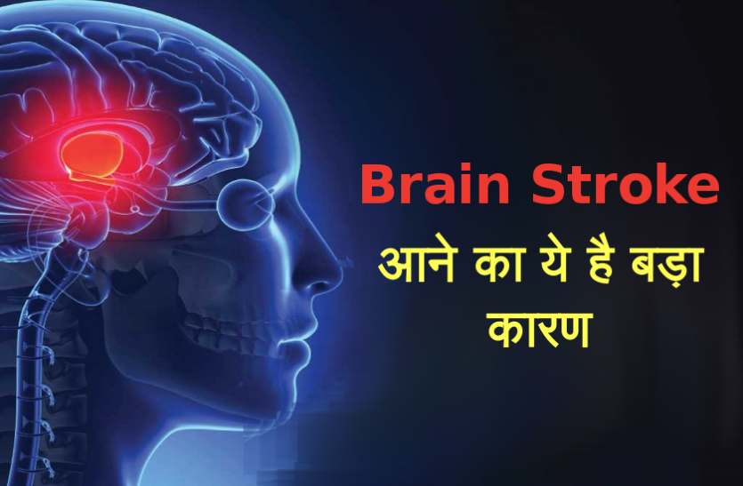 हृदय रोग, कैंसर के बाद स्ट्रोक से सर्वाधिक मौतें हृदय रोग, कैंसर के बाद स्ट्रोक से सर्वाधिक मौतें