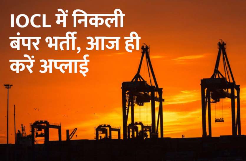 govt jobs in hindi, govt jobs, govt jobs 2019, Government Job 2019, Sarkari Naukri 2019, Latest Government job, sarkari jobs, 10th pass govt jobs, 12th pass govt jobs, सरकारी नौकरी, सरकारी नौकरी 2019, rojgar samachar, employment news in hindi, rojgar samachar in hindi, upsc jobs in hindi, 10th pass govt jobs 2019, UPSC, government jobs, UPSC exam, Sarkari Naukri, latest government jobs, jobs in hindi, latest jobs news, UPSC Jobs, upsc vacancy, Govt Jobs: IOCL सहित इन जगहों पर निकली सरकारी नौकरियां, जल्दी करें अप्लाई