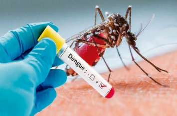 dengue fever viral sppedly know about Prevention तेजी से फैल रहा डेंगू बुखार, बस इन उपाय से करें अपने और परिवार की सुरक्षा
