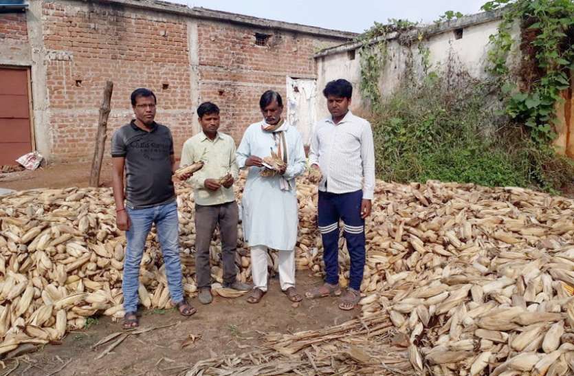 किसानों ने फसल नुकसानी में बीमा राशि की मांग किसानों ने फसल नुकसानी में बीमा राशि की मांग