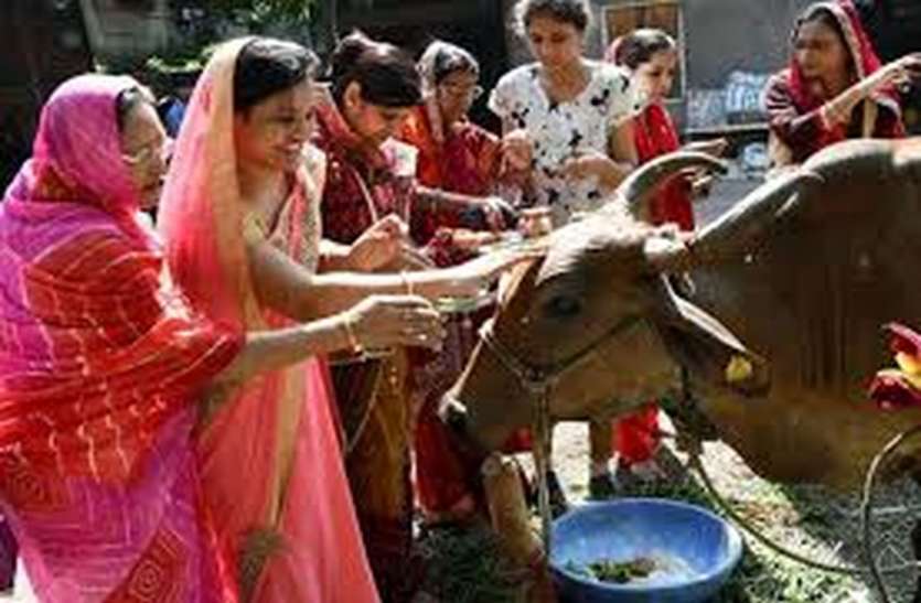 गोपाष्टमी आज, गायों की होगी पूजा, लगेगा मेला गोपाष्टमी आज, गायों की होगी पूजा, लगेगा मेला