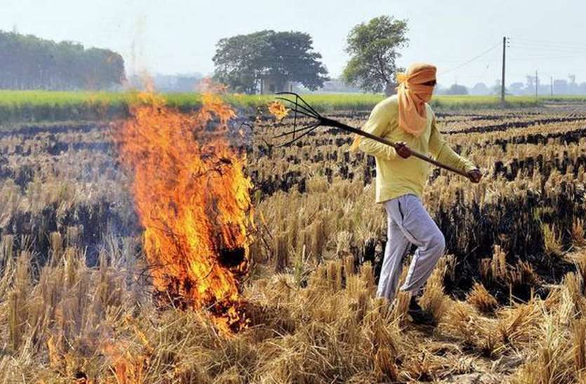 Jabalpur also increases pollution risk like Delhi-Haryana Being lit दिल्ली-हरियाणा की तरह जबलपुर में भी जलाई जा रही पराली, बढ़ा प्रदूषण का खतरा!!!