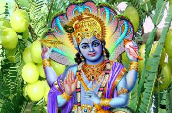 akshaya navami 2019: Shubh muhurt and puja vidhi मंगलवार से 6 दिनों के लिए आंवले के पेड़ पर निवास करेंगे भगवान विष्णु