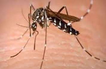 dengue डेंगू का डंग, डेंगू पीडि़त की हुई मौत