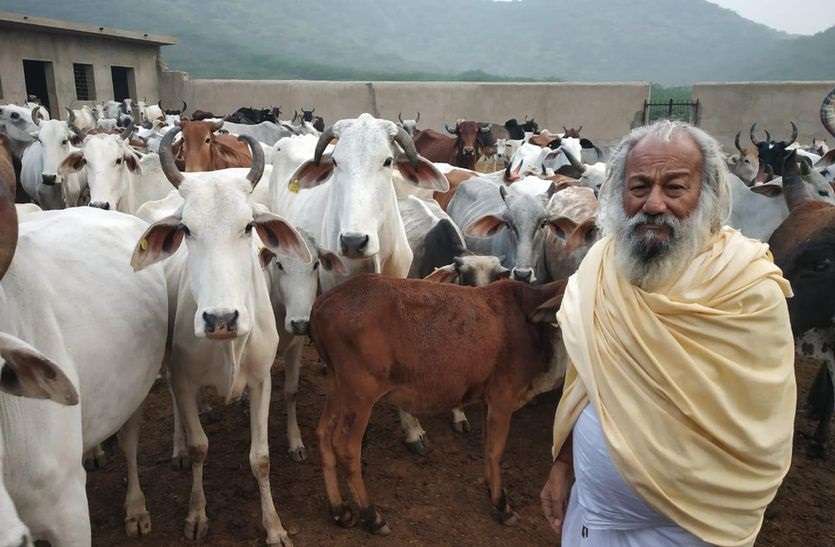 कायमदास 24 वर्ष से कर रहे गोसेवा, 85 वर्ष की उम्र में भी जुनून बरकरार, 700 गायों की कर रहे सेवा
