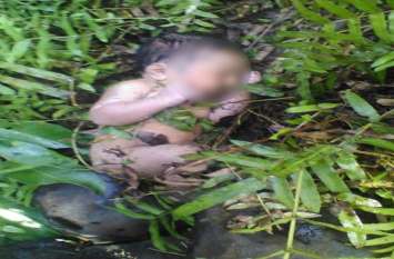 Widow mother throws newborn baby in Raigarh कलयुगी मां: विधवा महिला ने प्रेमी से बनाया शारीरिक सम्बन्ध, गर्भवती हुई तो नवजात को झाड़ियों में फेंका